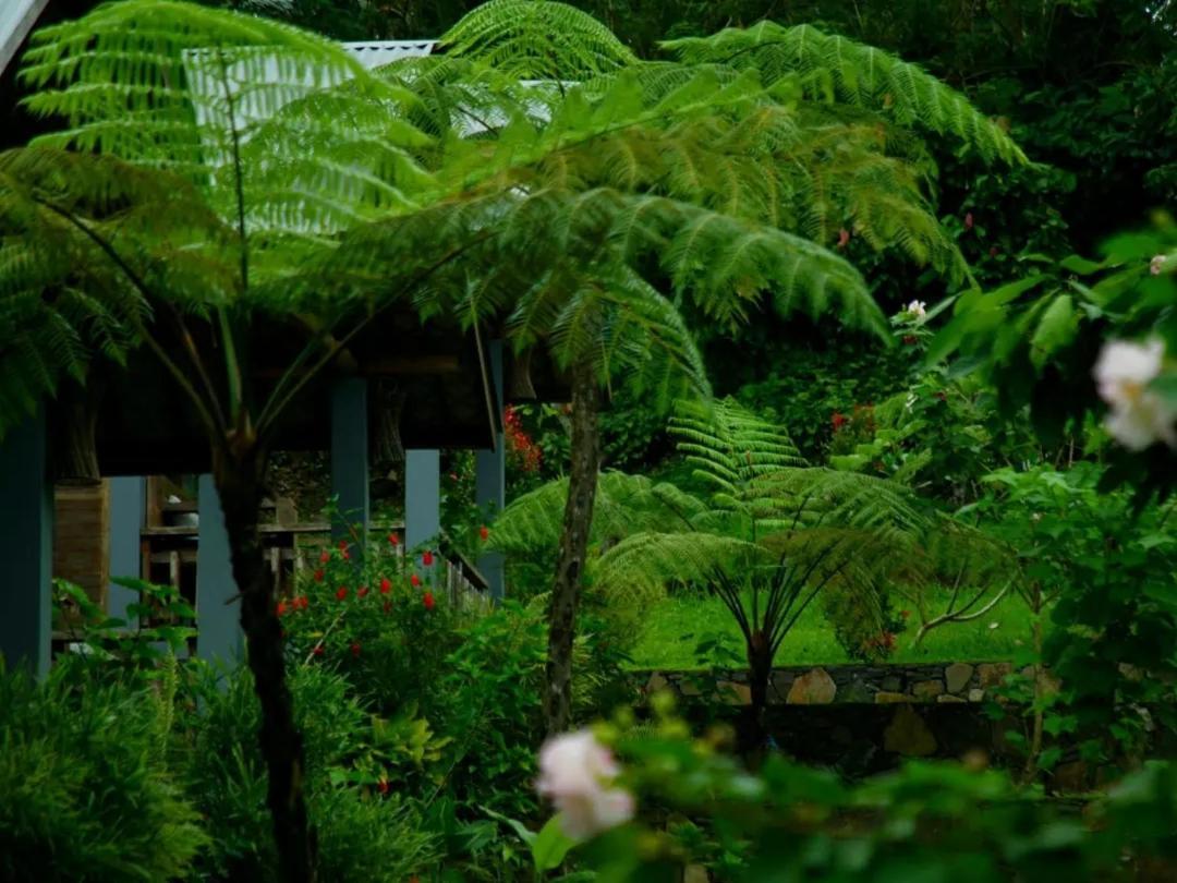 The Geckos Homestay Kelimutu Εξωτερικό φωτογραφία