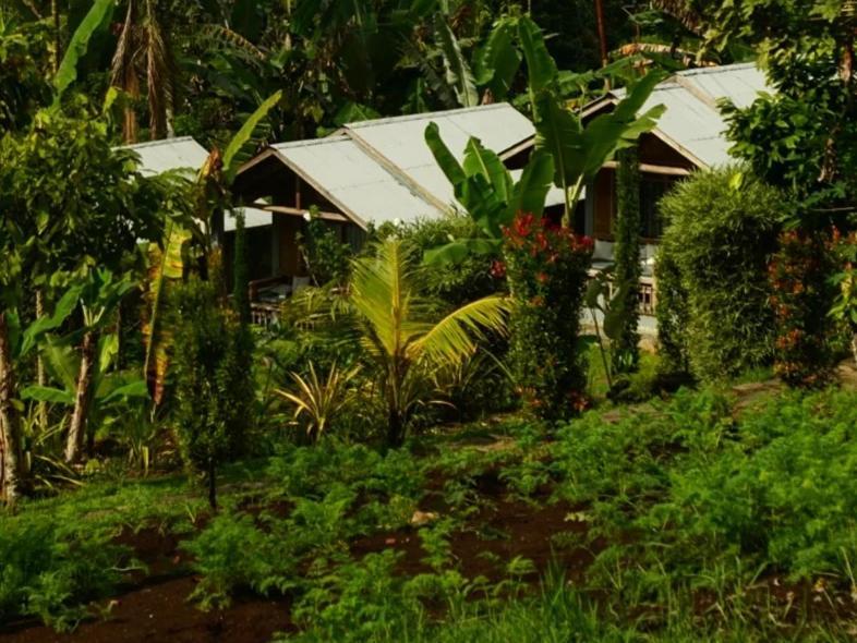 The Geckos Homestay Kelimutu Δωμάτιο φωτογραφία
