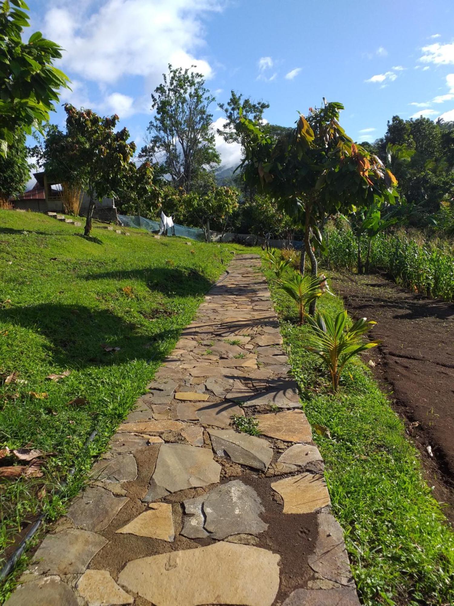 The Geckos Homestay Kelimutu Δωμάτιο φωτογραφία